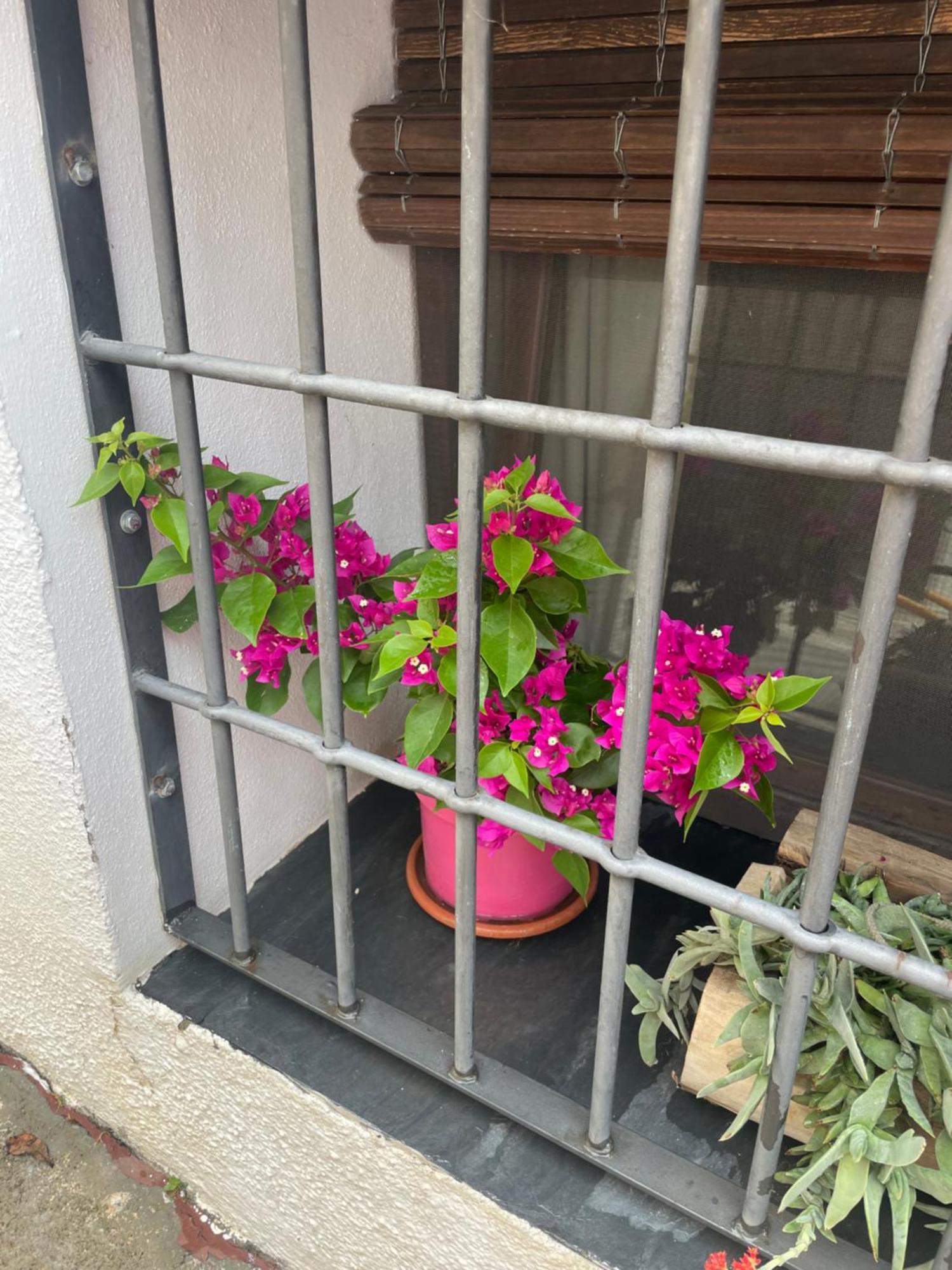 La Cuadra De Anita Vila Mecina Fondales Exterior foto